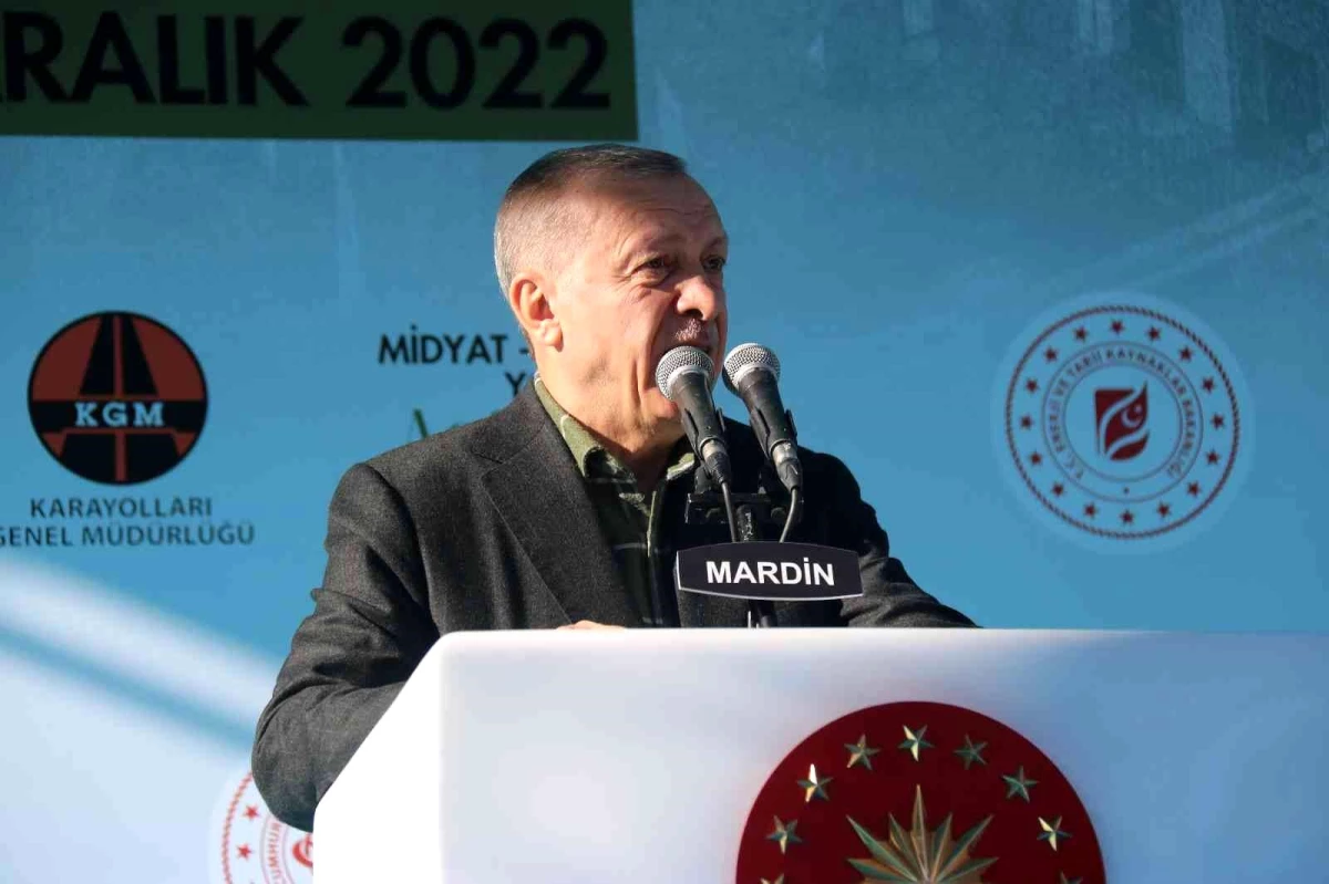 Cumhurbaşkanı Erdoğan, Mardin\'de toplu açılış töreninde konuştu: (1)