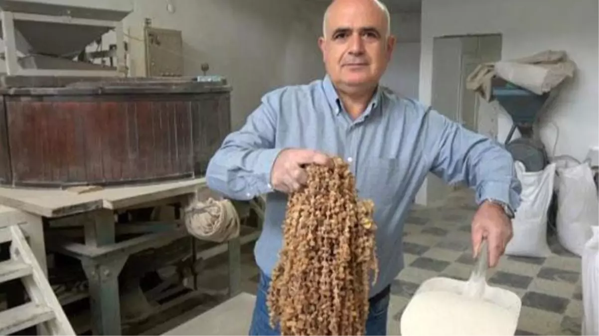 Doğada çok zor bulunan Bucak salebinin kilosu 3 bin liradan satılıyor