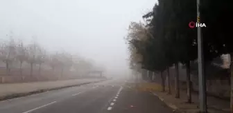 Gaziantep'te yoğun sis etkili oluyor