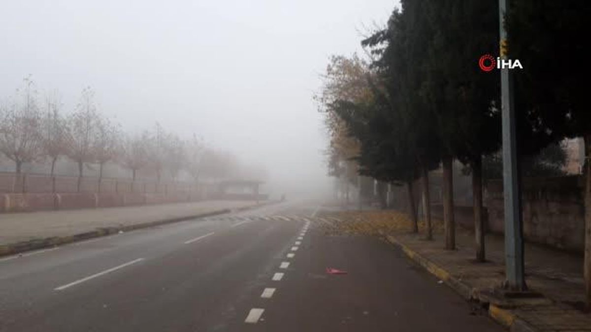 Gaziantep'te yoğun sis etkili oluyor