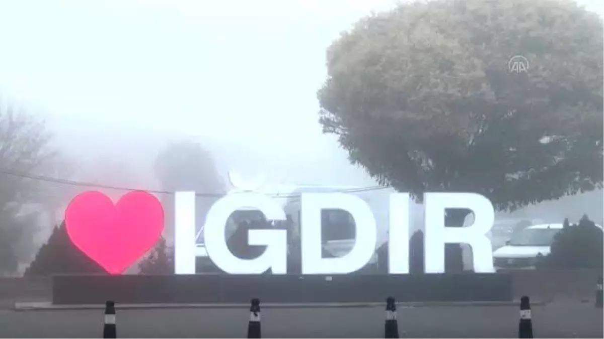 Iğdır\'da iki gündür yoğun sis etkili oluyor
