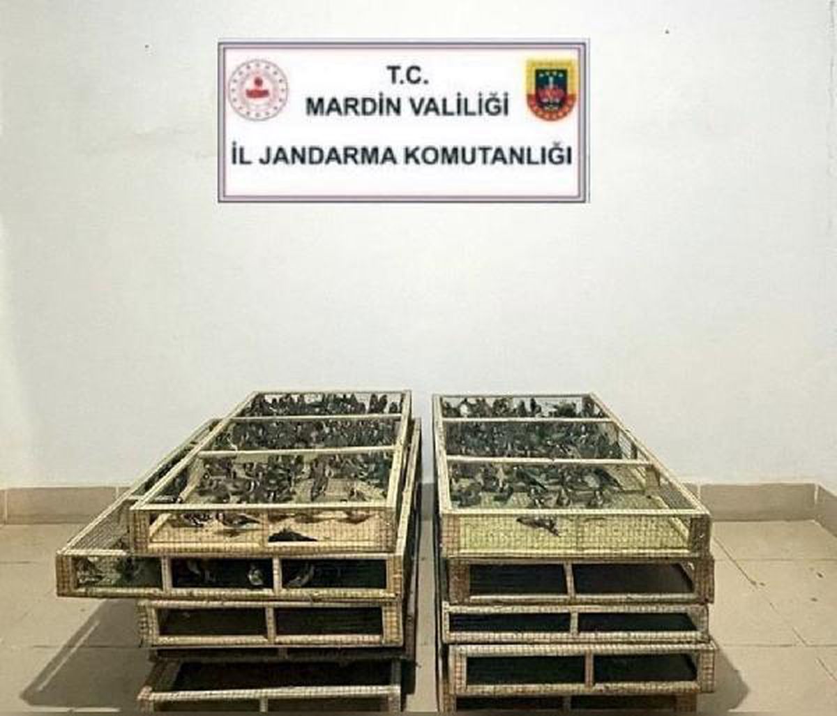 Mardin'de 1000 saka ile yakalandı; 1 milyon 200 bin TL ceza kesildi