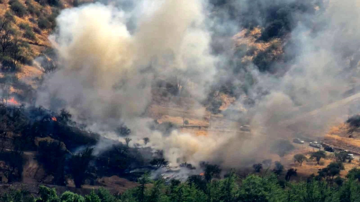 Şili\'de orman yangınları artıyor: 7 bin hektardan fazla alan küle döndü