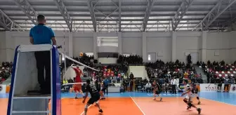 Voleybol: AXA Sigorta Efeler Ligi