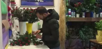 ZONGULDAK - Yılbaşının simgelerinden kokina çiçek tezgahlarını süslüyor