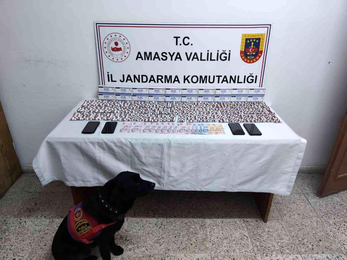 Amasya\'da jandarmanın operasyonunda bin288 adet uyuşturucu hap ele geçirildi