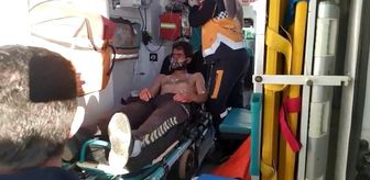 Domuz avında ağabeyini vurdu