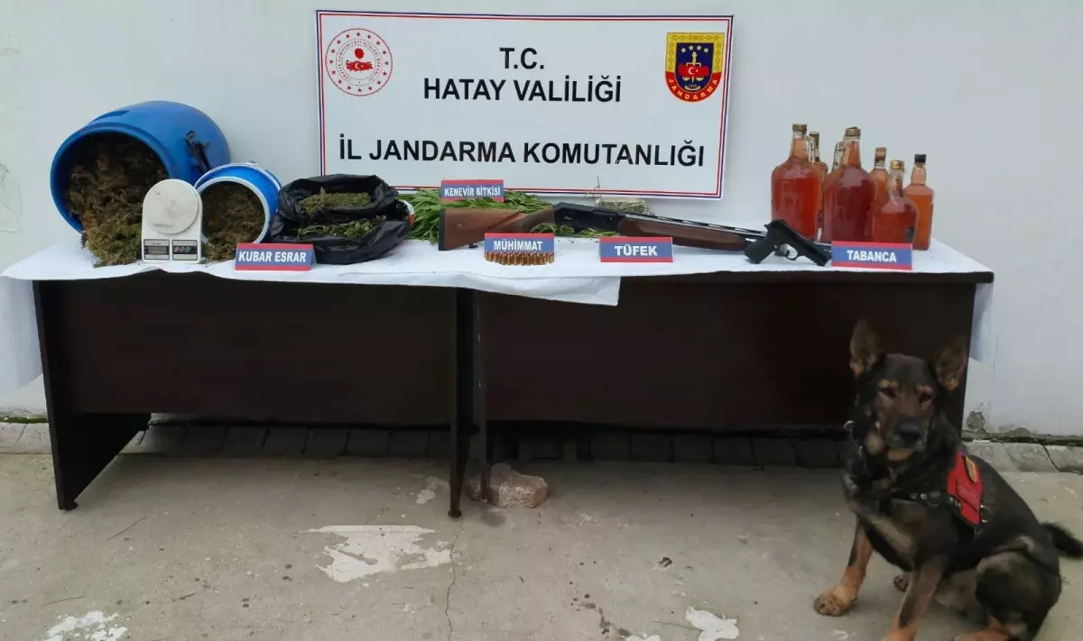 Hatay'da 30 kilogram esrar ele geçirildi, 2 şüpheli yakalandı