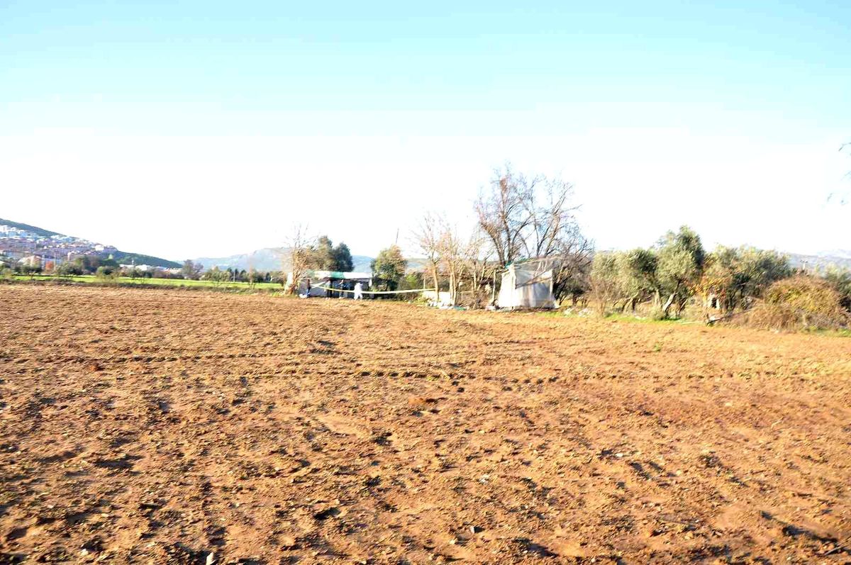 Muğla\'da tarlada erkek cesedi bulundu