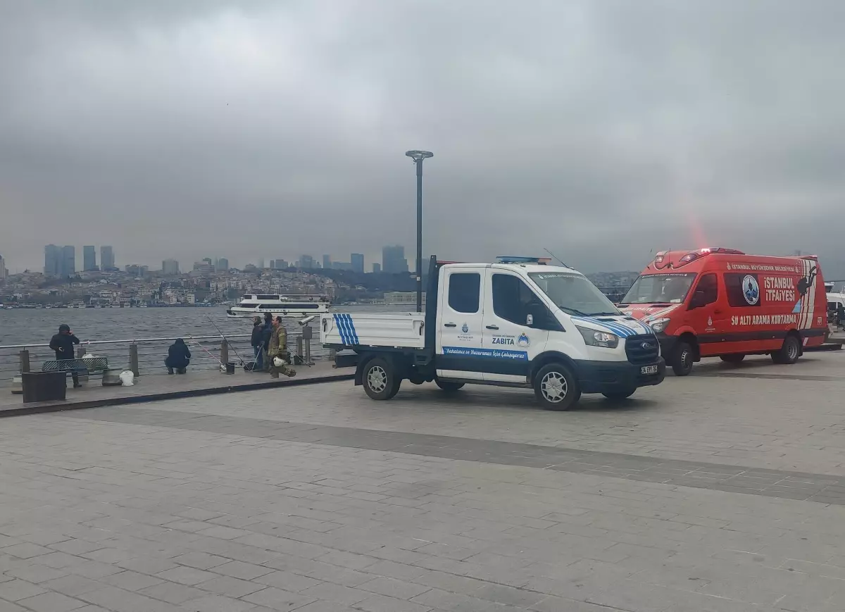 Üsküdar İskelesi\'nde ölü yunus bulundu