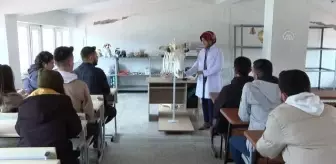Veterinerlik öğrencileri uygulamalı ders için sığır iskeleti yaptı