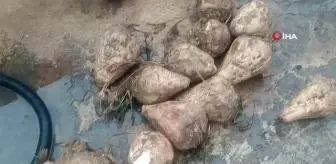 Yapımı 26 saat sürüyor, lezzetine doyulmuyor
