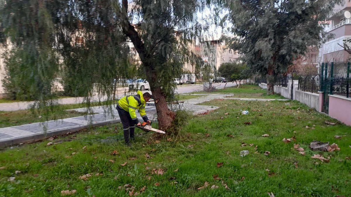 Edremit Belediyesi Ekipleri Park ve Yeşil Alanlarda Budama Yapıyor