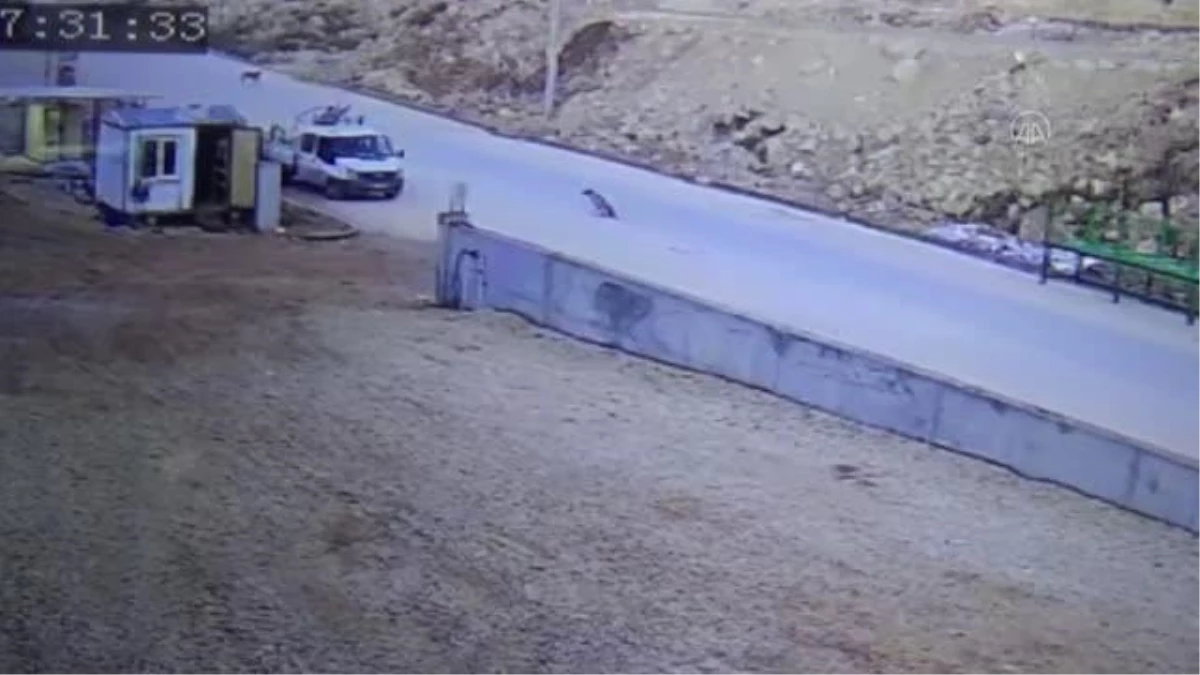 Gaziantep\'te servis aracının çaptığı kamyonetin altında kalan 2 işçi öldü