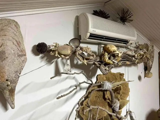 KADIKÖY'DE YÜZLERCE HAYVAN BOYNUZU ELE GEÇİRİLDİ