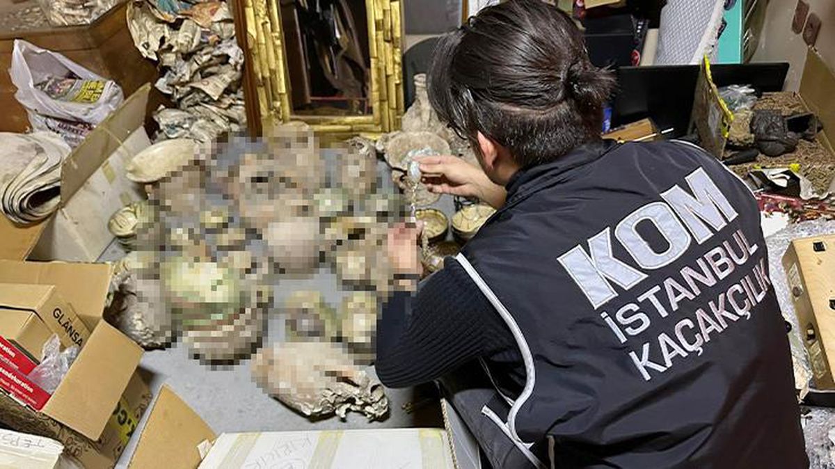 İstanbul'un göbeğindeki dükkana baskın! Yüzlerce hayvan boynuzu ve tarihi eser ele geçirildi