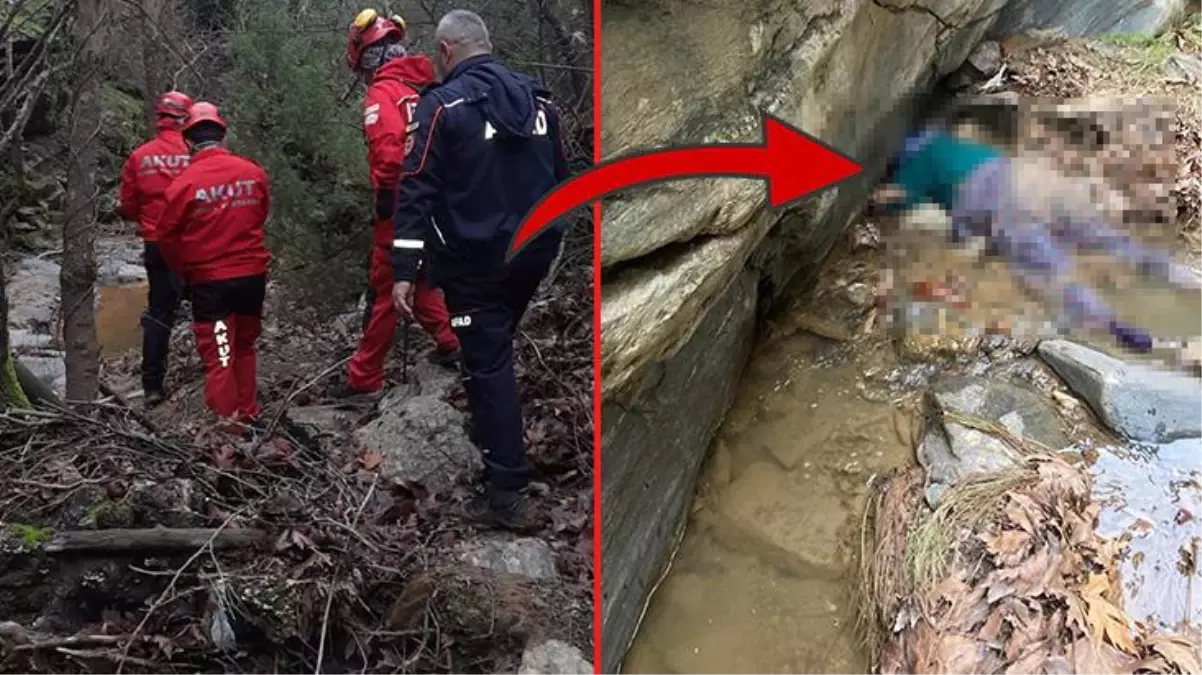 Kekik toplamaya gittikten sonra kaybolan yaşlı kadının cansız bedeni derede bulundu