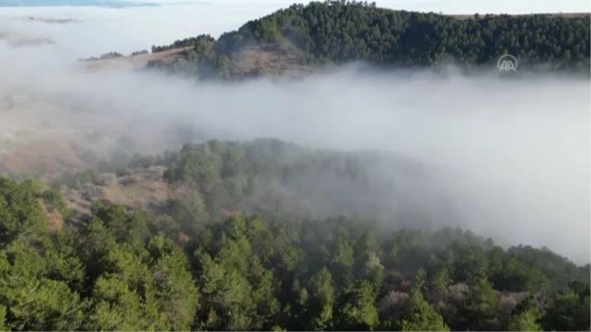 Yapraklı Yaylası üzerindeki sis bulutu dron ile görüntülendi