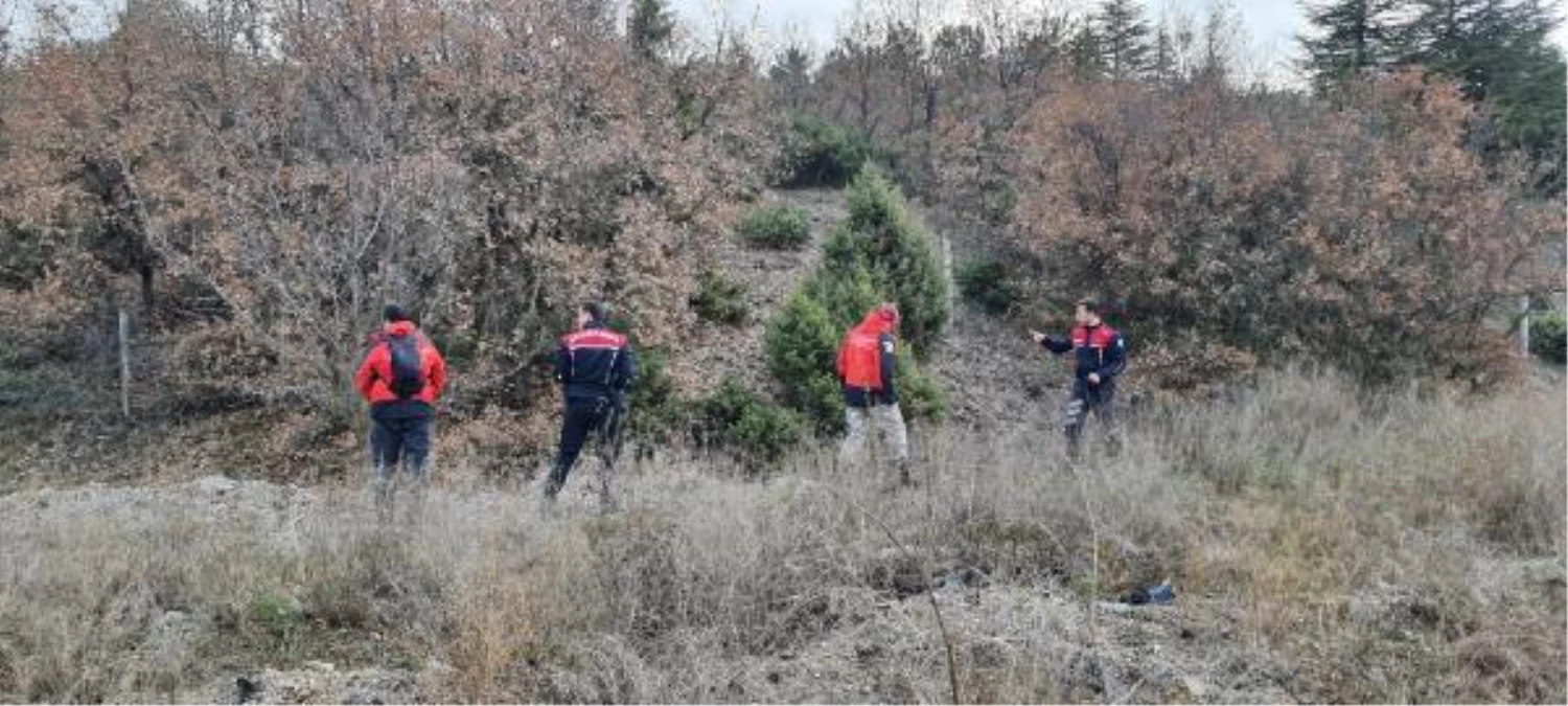 12 gün önce kayboldu, kent ormanında aranıyor