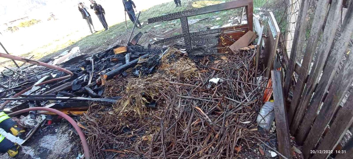 Bahçedeki odunlar tutuştu ev yanmaktan kurtuldu