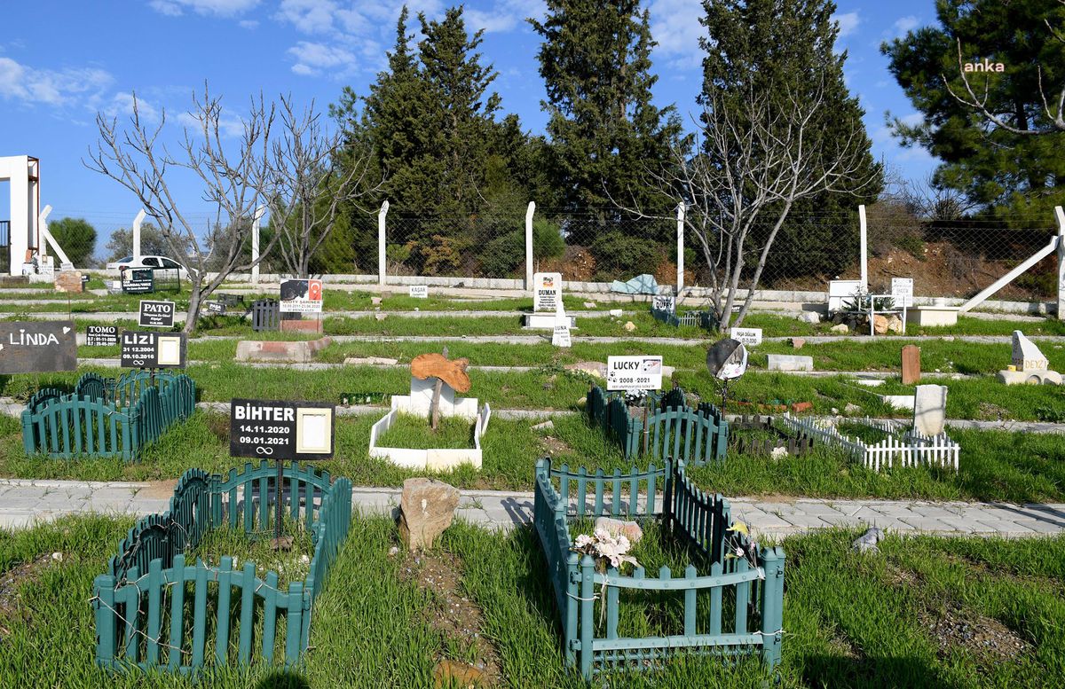 Can Dostlar, Kuşadası\'nda Huzur İçinde Uyuyor