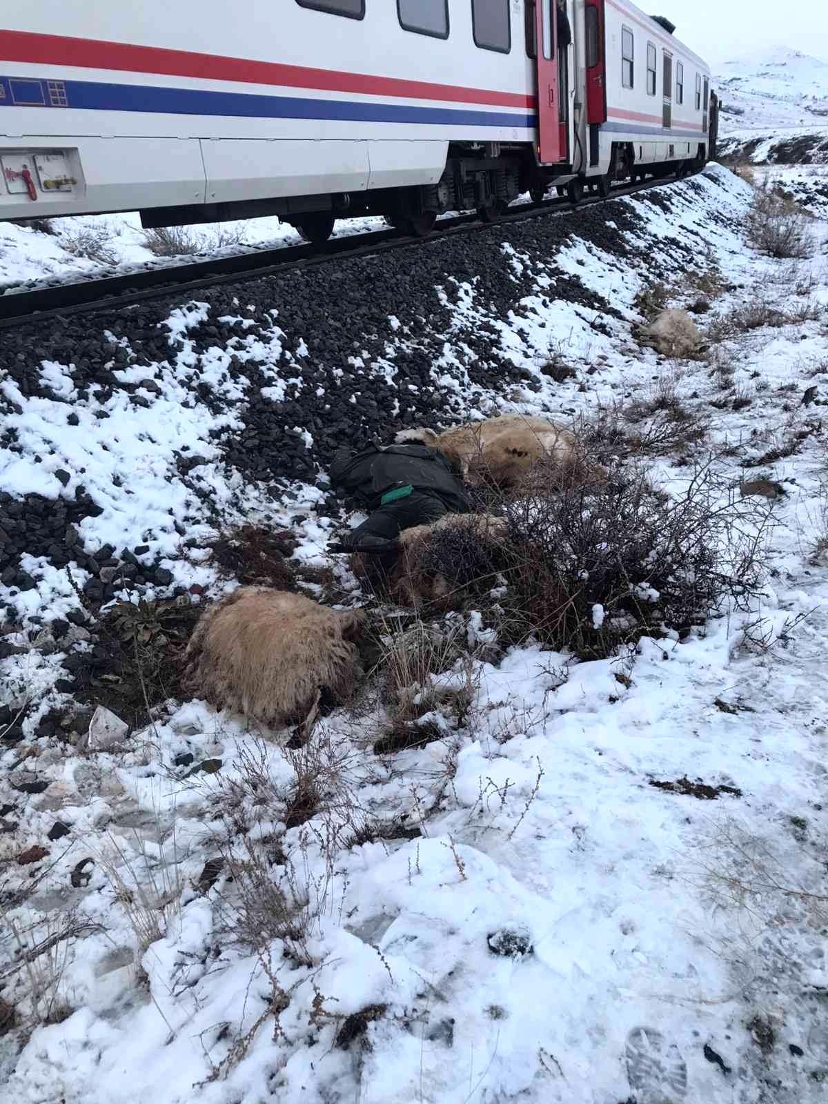 Erzincan\'da trenin çarptığı çoban öldü