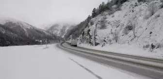 GÜMÜŞHANE - Zigana Dağı'nda kar ve sis etkili oldu