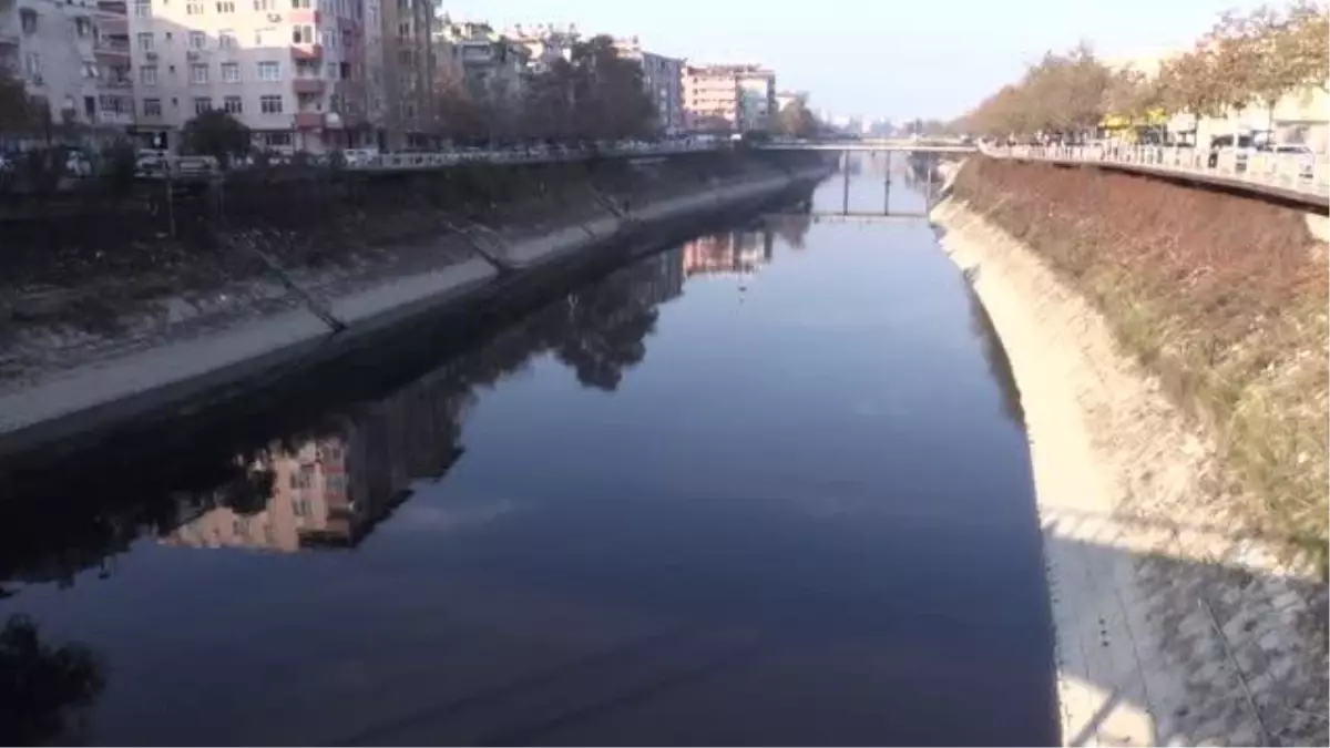 Hatay\'da balık ölümleri görülmesi üzerine inceleme başlatıldı