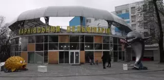 Savaş nedeniyle Odessa'ya gönderilen yunuslar yuvalarına döndü