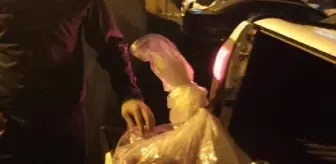 Şemdinli'de yaban keçisi avına 250 bin lira ceza