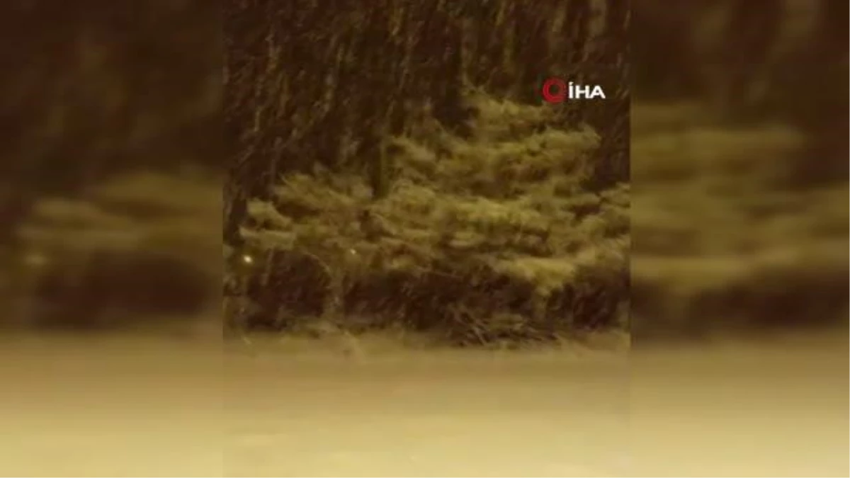 Tufanbeyli\'de yoğun kar yağışı görsel şölen oluşturdu