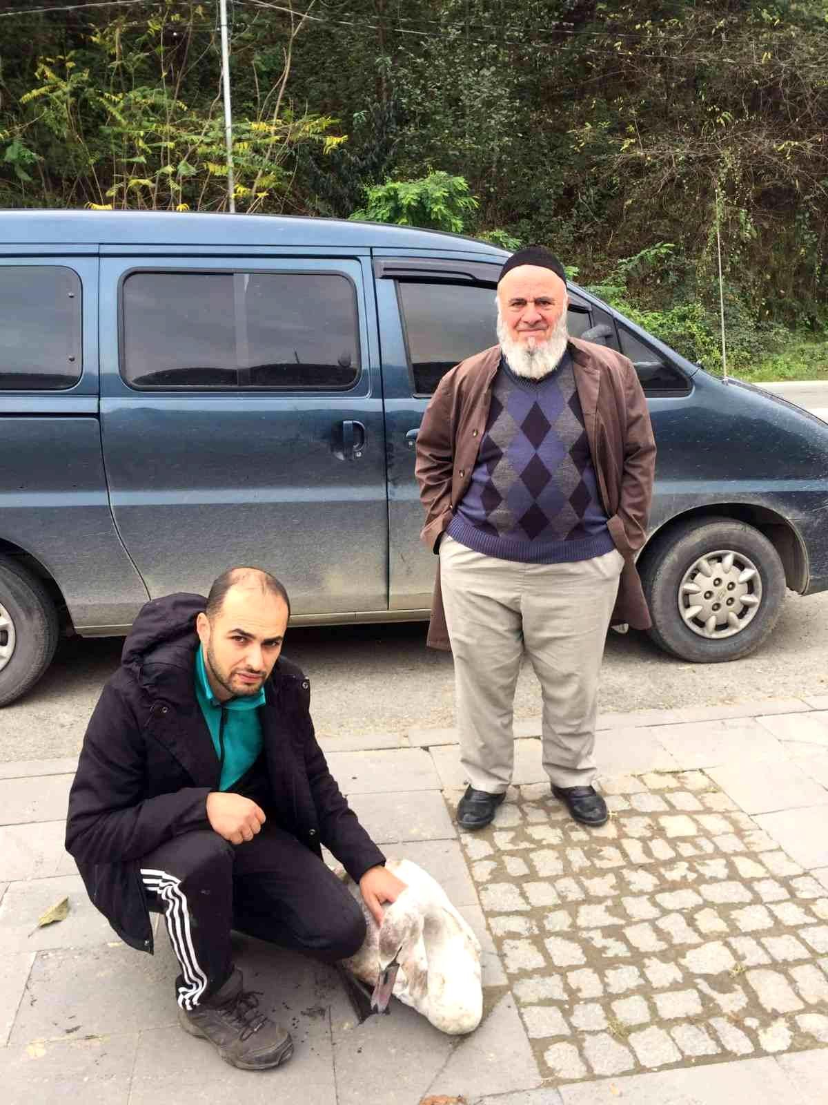 Yaralı halde bulunan kuğu Doğa Koruma ve Milli Parklar İl Müdürlüğü\'ne teslim edildi