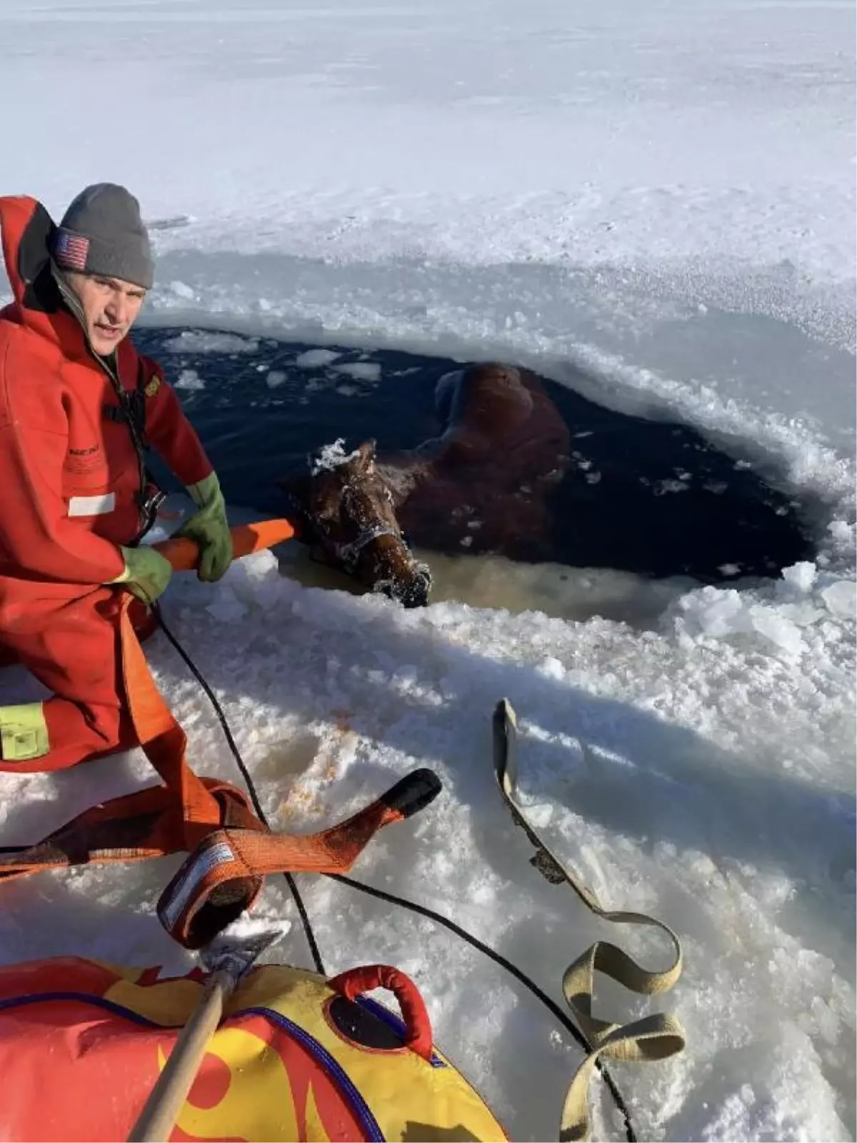 ABD'de buzun kırılmasıyla donmuş göle düşen at saatler içinde kurtarıldı