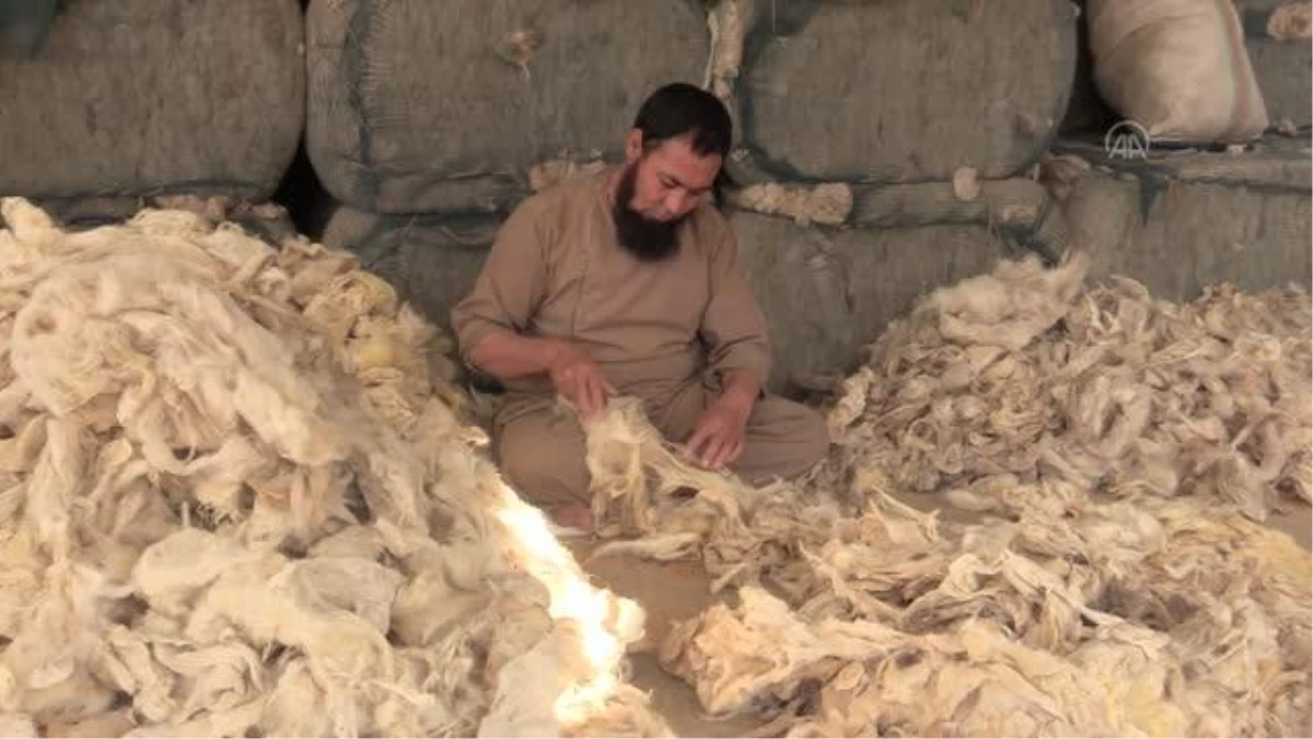 Afganistan\'da geleneksel yöntemlerle dokunan halı dünya pazarına Türkiye\'den ulaşıyor