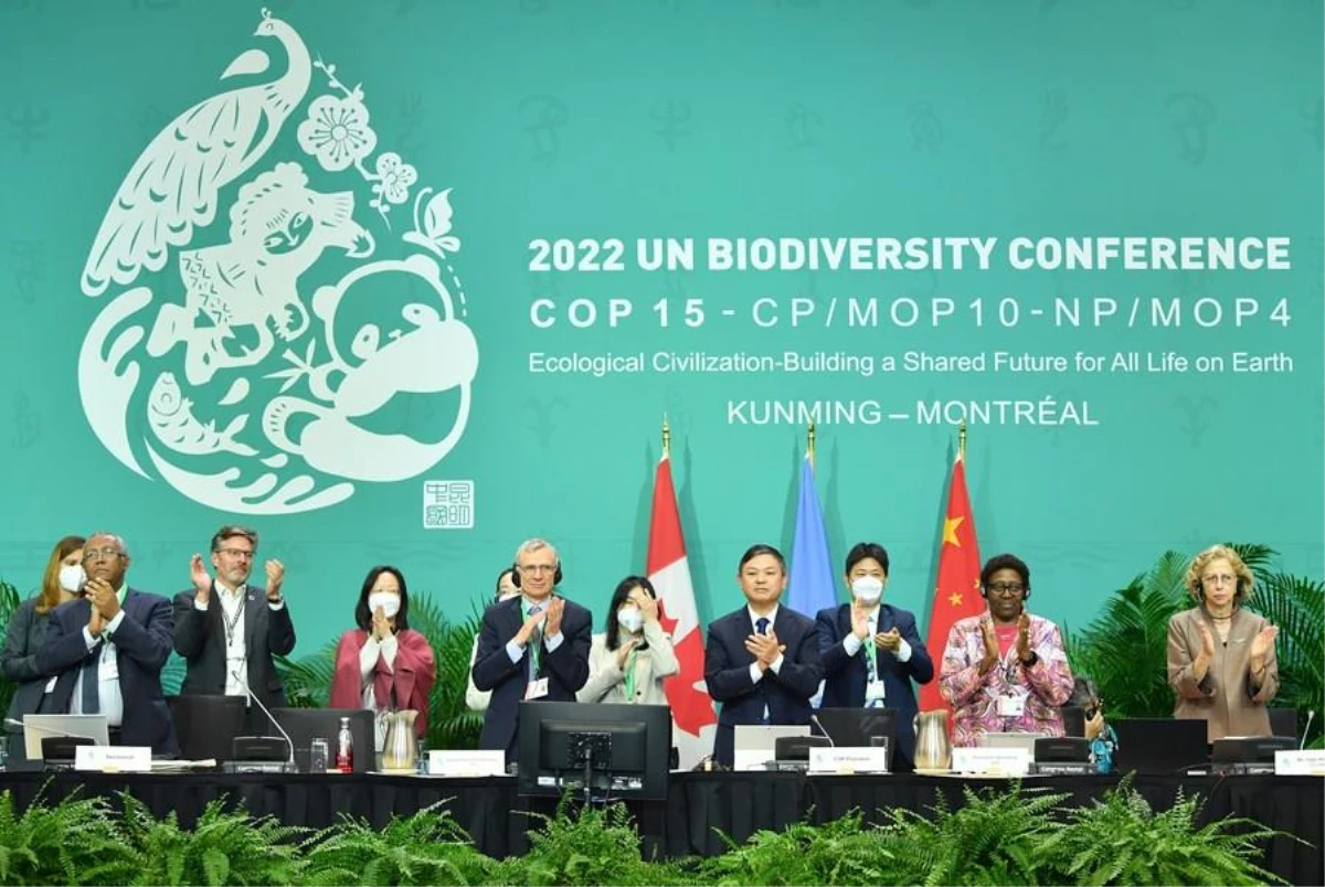 Cop15 Başkanı: Çin, BM Biyolojik Çeşitlilik Anlaşmasının Uygulanmasını Kolaylaştıracak