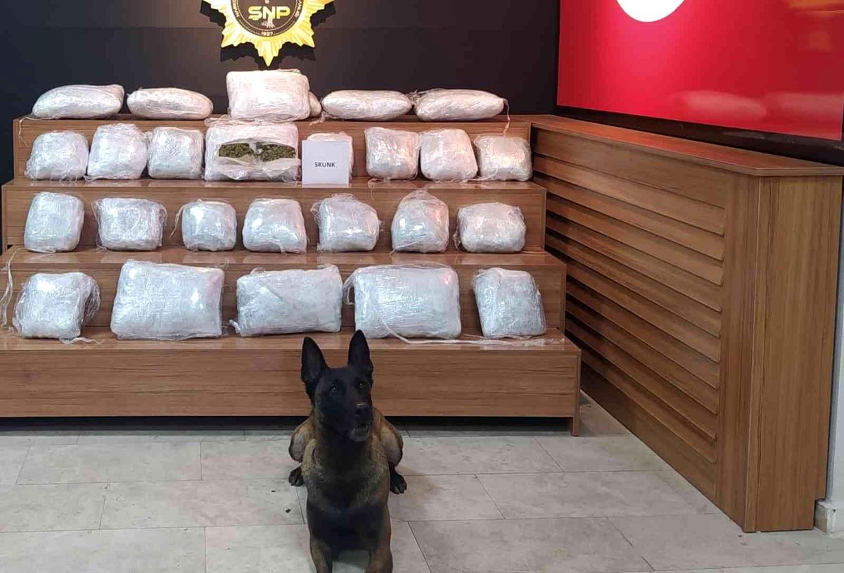Şanlıurfa\'da 21 kilo 550 gram skunk ele geçirildi