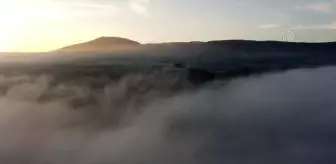 Serenler Tepesi Tabiat Parkı'nda sis altında gün doğumu