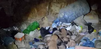 Eskişehir'de vicdanları hem sızlatan hem de ısıtan olay