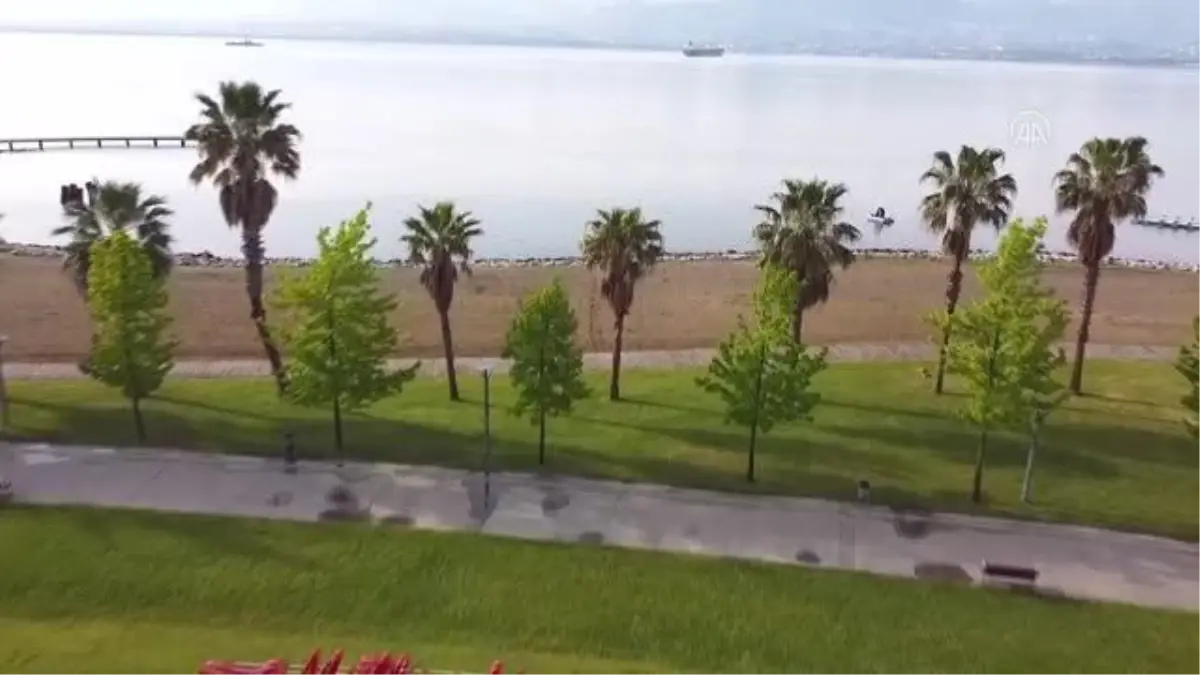 İzmit Körfezi'nin derinliklerinde denizatları görüntülendi