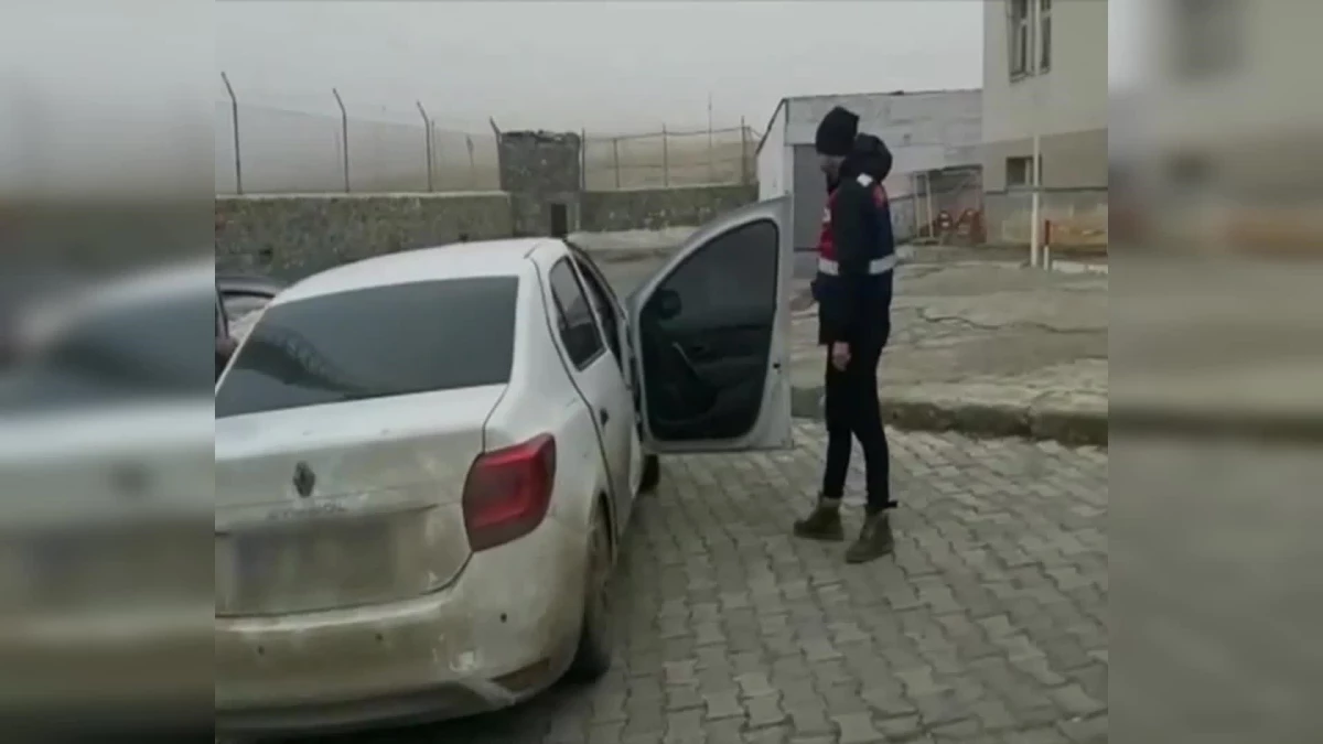 Kars\'ta Bir Otomobilden 14 Kaçak Göçmen Çıktı