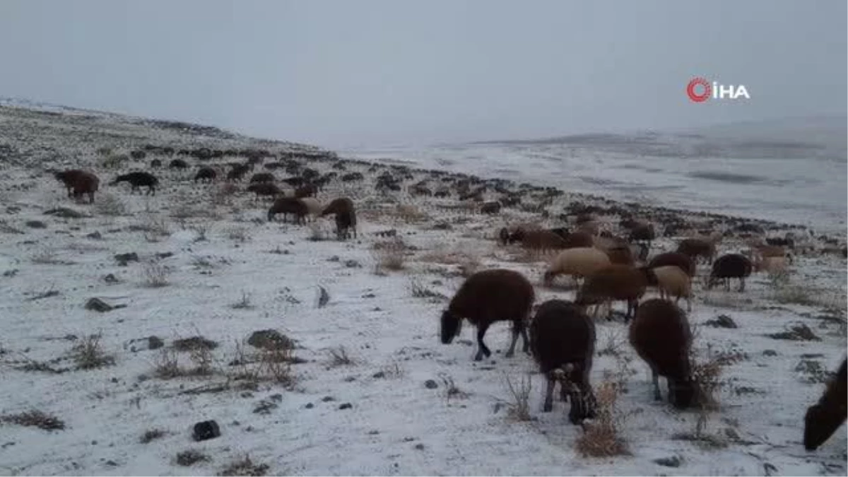 Kars\'ta göçerlerin kar altında zorlu yolculuğu