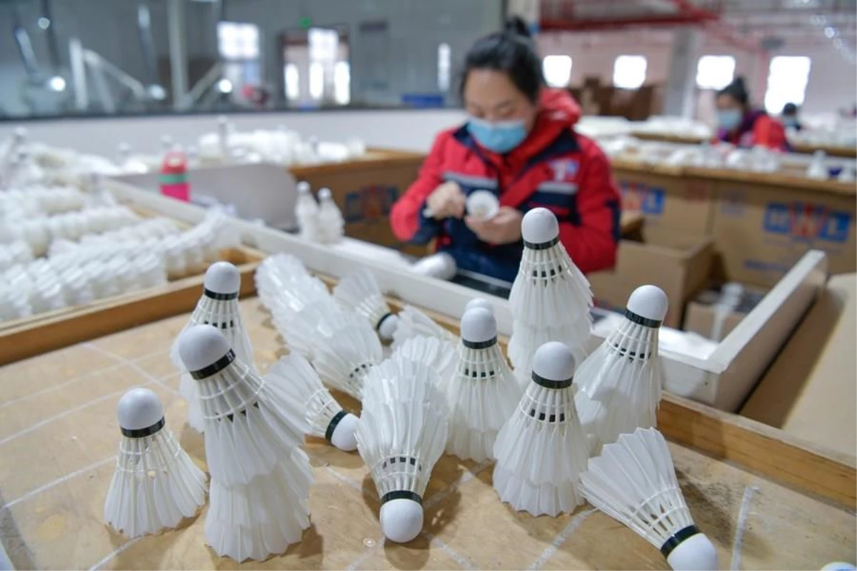 Kaz Endüstrisi Çin\'in Güneybatısında Kırsal Canlanmayı Artırdı