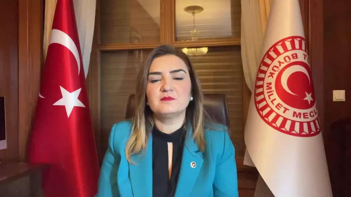 Sevda Erdan Kılıç: Havelsan\'da Liyakatli Uzman Mühendisler Baskı ve Şantajla İşten Çıkarılıyor