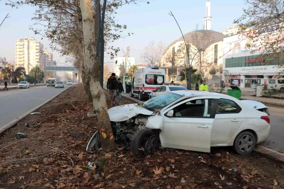 Yayalara çarpmamak isterken ağaca çarptı: 1 yaralı