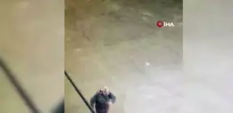 4 gündür kayıp olarak aranan yaşlı kadın, donmuş halde bulundu