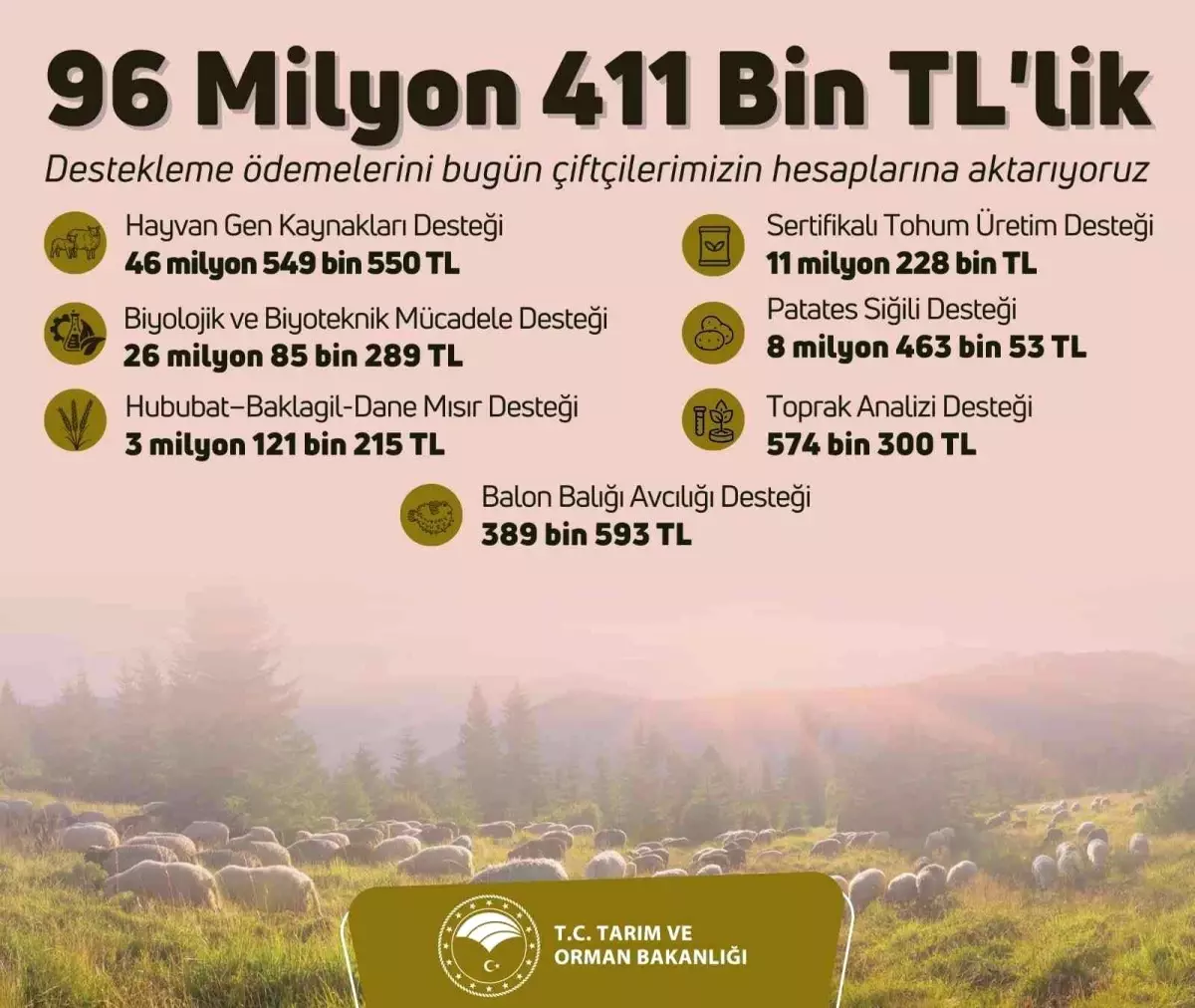 Çiftçilere 96 milyon 411 bin liralık tarımsal destekleme ödemeleri bugün yapılacak