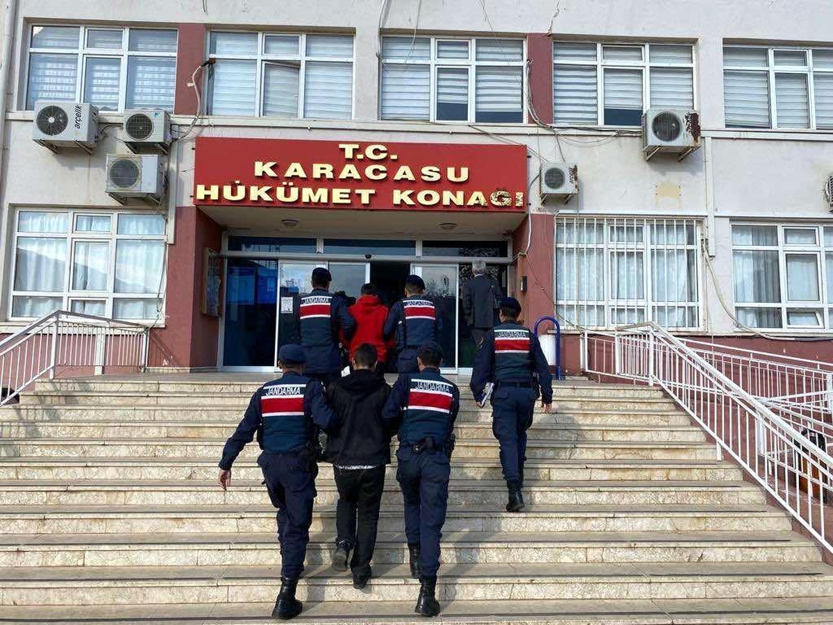 Karacasu\'da zeytin hırsızları yakalandı