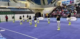 Sakarya'da Geleneksel Wushu Kung Fu Türkiye Şampiyonası başladı