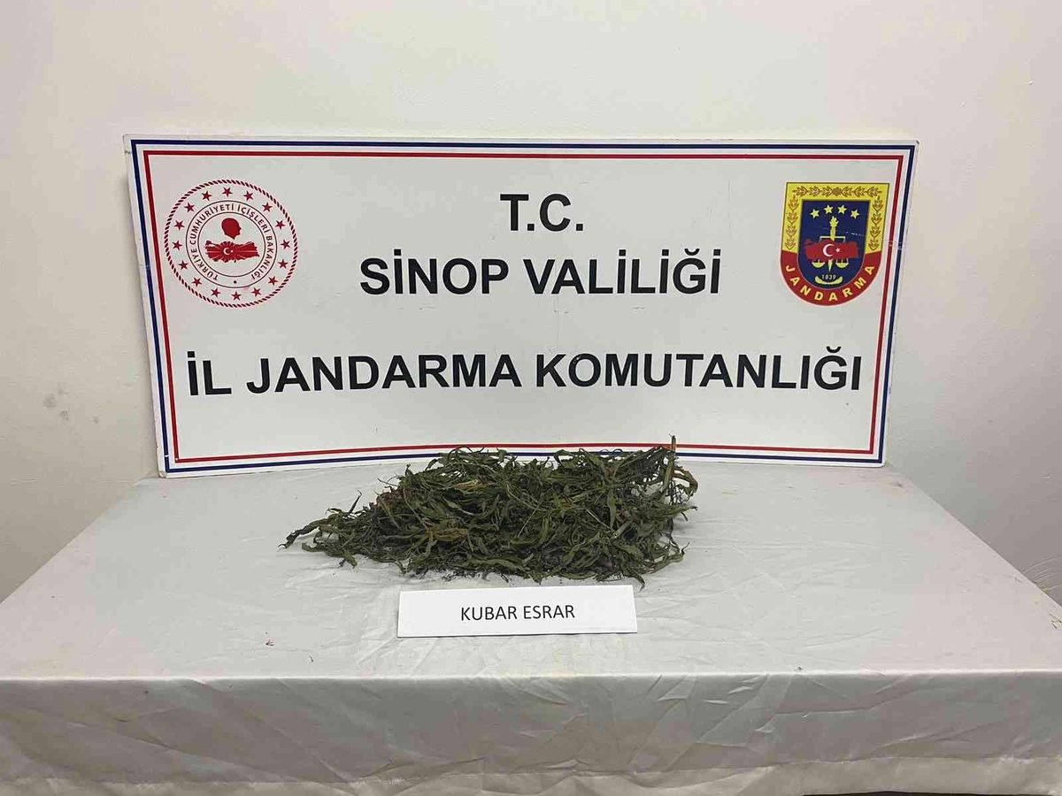 Sinop\'ta jandarmadan uyuşturucu operasyonu