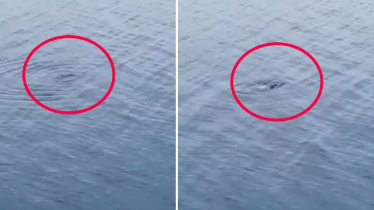 Türkiye yıllar sonra tekrar Van'a odaklanacak! Yerel gazete manşetten duyurdu: Canavar geri döndü